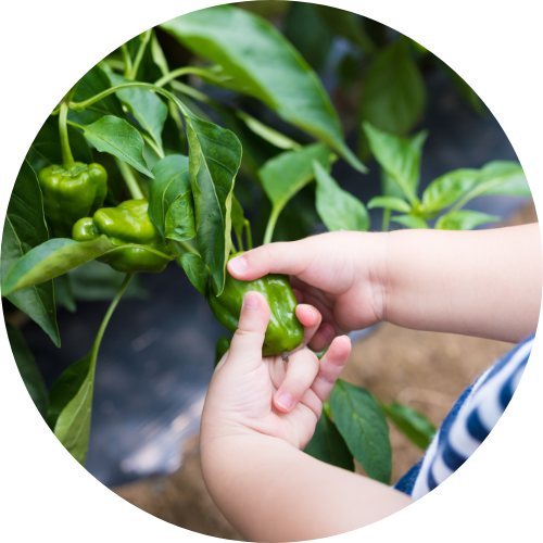 画像:1~2歳コース