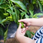 サムネイル：１歳～２歳児コース